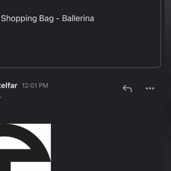 RARE ballerina telfar shopping bag - Picture 4 of 4